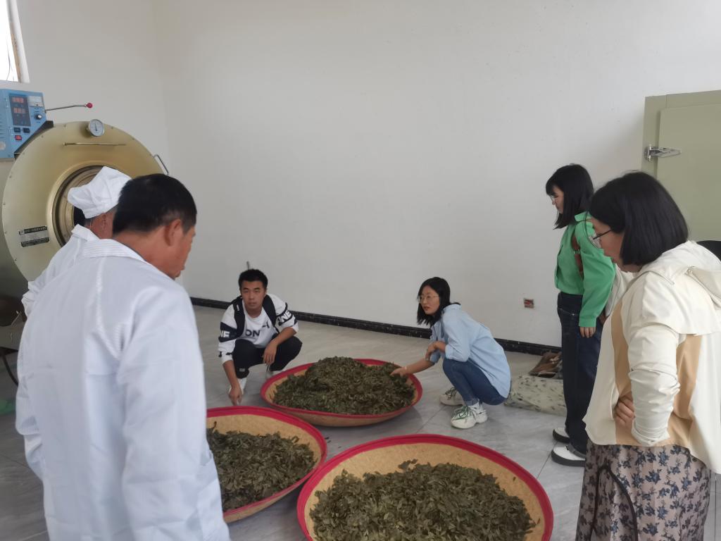 必赢线路检测中心师生赴甘肃茂群天运文冠果公司参观学习