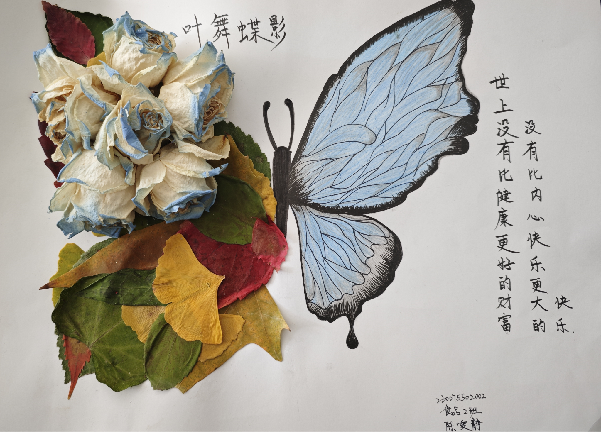 生命学院开展“叶络寄语、健康相伴”活动