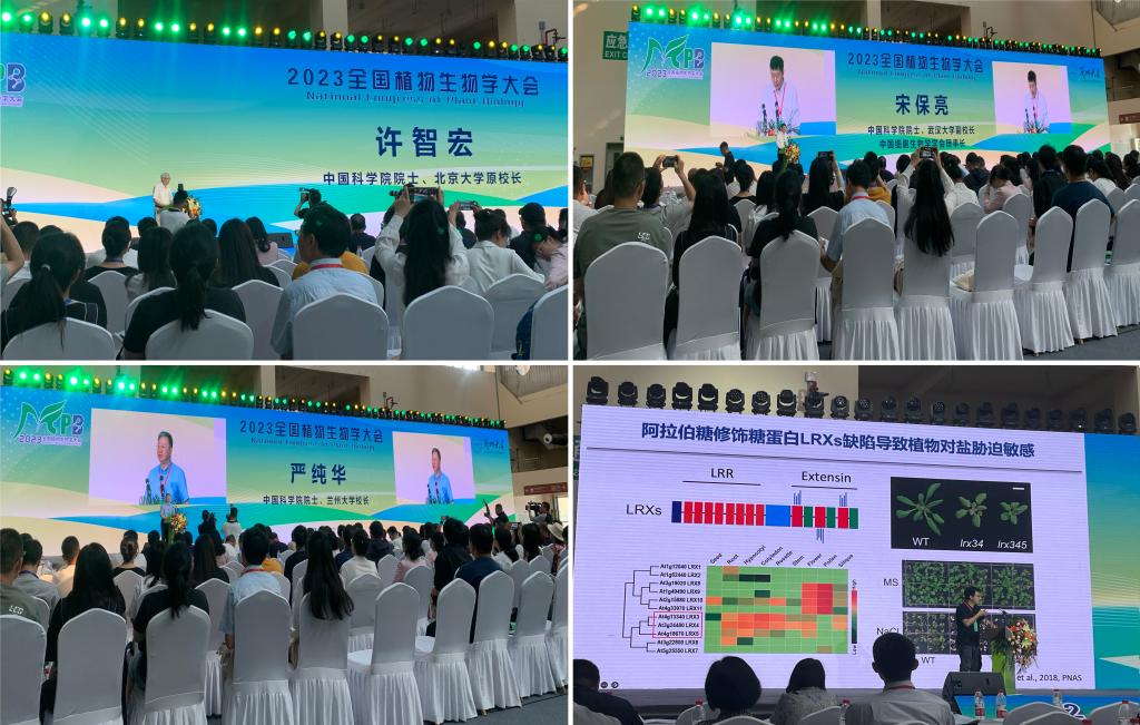 必赢线路检测中心教师参加2023全国植物生物学大会
