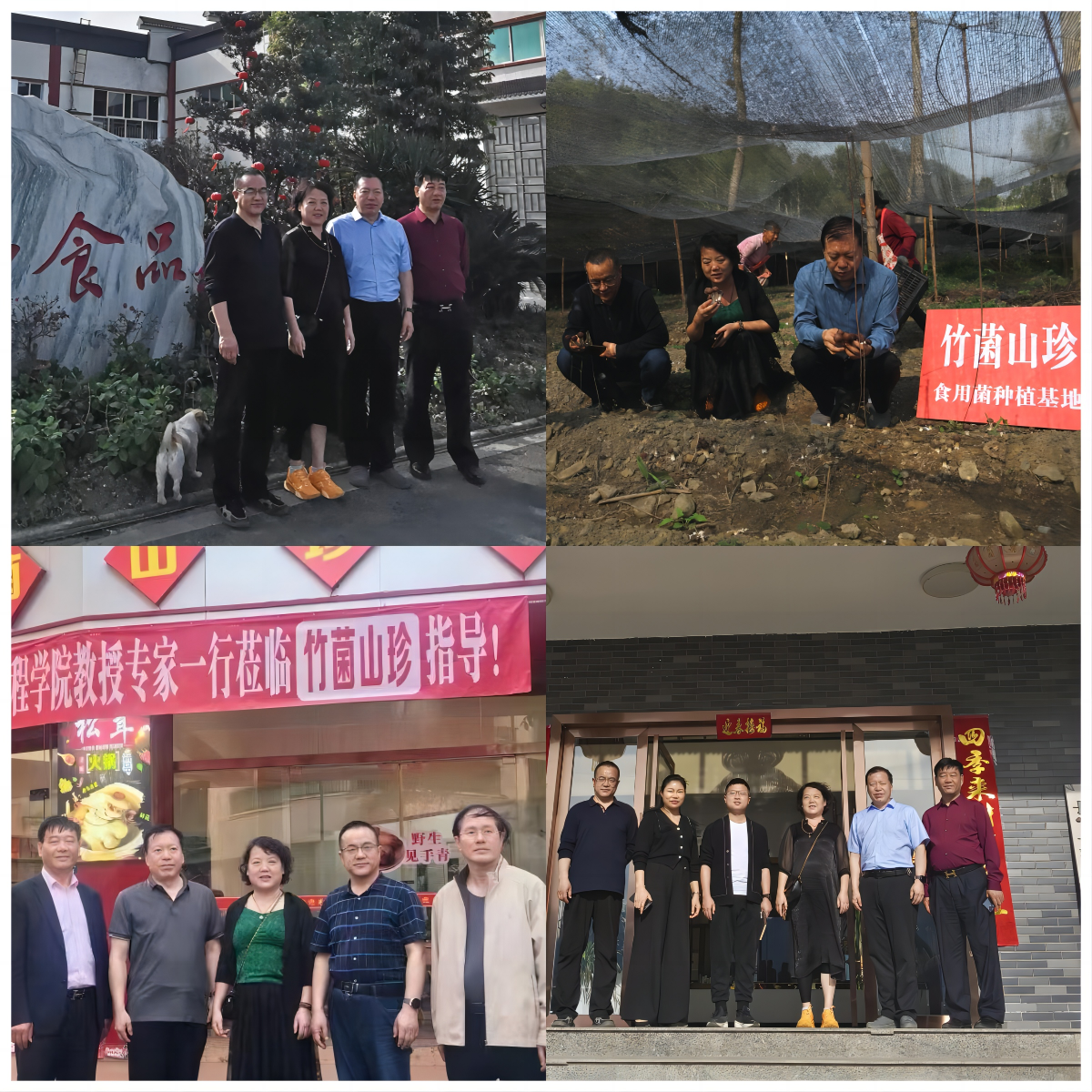 必赢线路检测中心教师到宜宾“竹菌山珍”等公司调研
