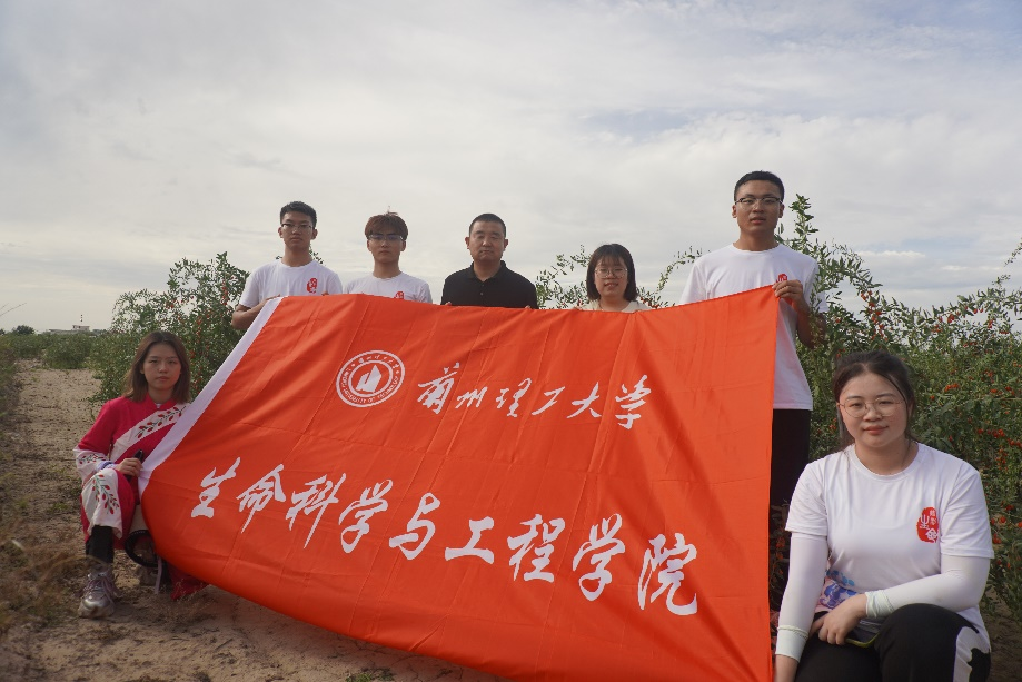 bwin官网暑期社会实践团“红耀兴农先锋队”前往靖远县靖安乡助力枸杞产业发展